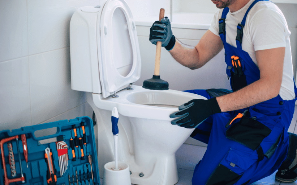 reparación inodoro con pros de homepro