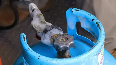 Descripción